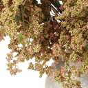 Zeyune 3 Pcs Spring Green Faux Berry Stem Realistic Sedum Stem Spray Artificial Flowers Picks Branches Fake for Wedding Holiday Seasonal Farmhouse Mantel Harvest DIY Home Decorations (35 Inch)