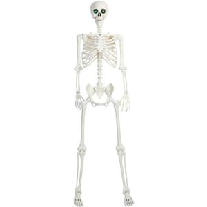 Life Size Skeleton, 5.4Ft/165cm Halloween Skeleton Poseable Skeleton Full Body Human Bones with Movable Joints for Indoor Outdoor Halloween Props Decorations (LED Eyes)