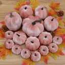 16Pcs Pink Fake Foam Pumpkins Decorating Velvet Fabric Pumpkin Bulk Fall Table Bowl Centerpiece Farmhouse Harvest Decorative Halloween