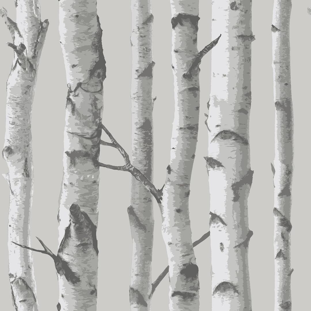 NuWallpaper NU1694 Mountain Birch Peel & Stick Wallpaper, Grey (Gray)
