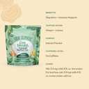 3 x Four Sigmatic Gut Health Organic Herbal Tea | Organic Lemon Ginger Tea with Probiotics & Turkey Tail Mushroom | Instant Digestive Tea | Vegan, Gluten-Free | Lemon Ginger, 24 Servings