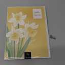 Daffodils Easter Card (5" x 7")