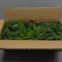 PABREY Artificial Norfolk Pine Garlands, 2 Pcs 6 Ft Real Touch Garlands, Winter Green Greenery Christmas Garlands for Mantle, Table, Wall, Outdoor, Indoor Christmas Decorations (6 FT, 2)