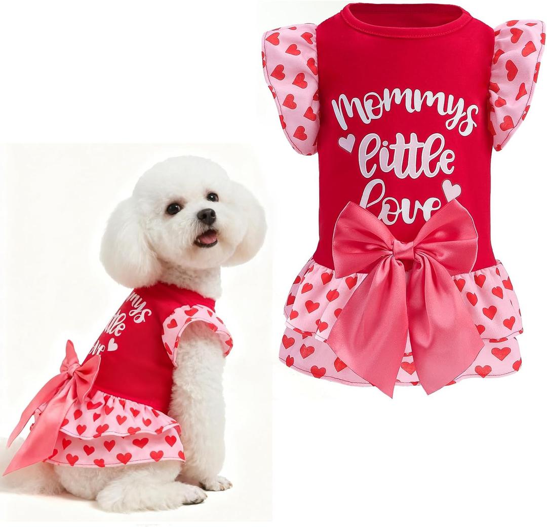 EXPAWLORER Valentine's Day Dog Dress for Small Dogs,Puppy Costumes Pet Clothes Holiday Girl Dogs Shirt with Heart Themed, Party Dog Vest Dresses Cat Apparel Sweater Warm Skirt 