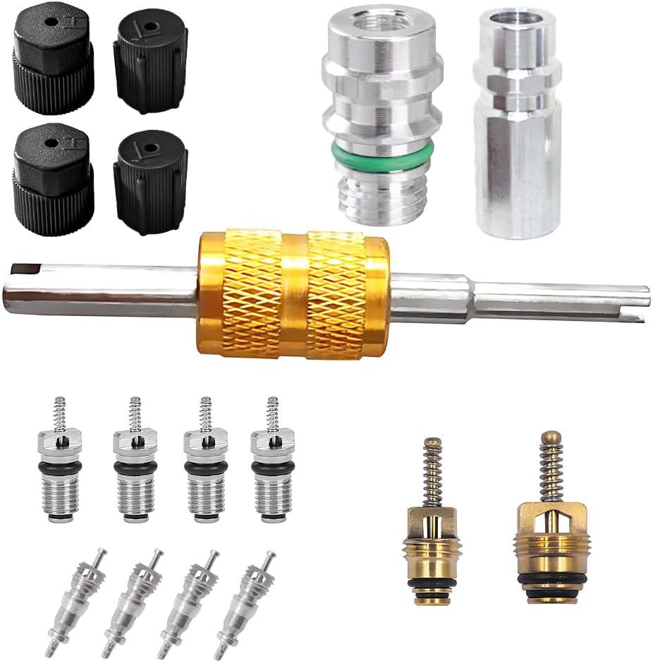 Bittwee 17PCS Car Air Conditioning Valve Core Kit, R12 R134a Vehicle HVAC Valve Stem Cores with Removal Tool, Auto AC Refrigeration Cap Valve Core Assortment Set, Universal for Most Cars