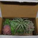 Der Rose 2 Pack Fake Plants Succulents Plants Artificial Cactus Plants in Wood Pots with Pink Flowers for Farmhouse Bathroom Decor