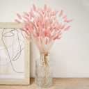 Uieke 17 Natural Bunny Tails Dried Flowers, 240 Pcs Dried Lagurus Ovatus, Dried Pink Pampas Grass Decor for Farmhouse Flower Arrangements Wedding Home Party Decorations