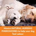 ThunderEase Dog Calming Pheromone Diffuser Refill | Powered by ADAPTIL | Vet Recommended to Relieve Separation Anxiety, Stress Barking and Chewing, and The Fear of Fireworks and Thunderstorms (60 Day