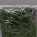 2 Pcs Norfolk Pine 6FT