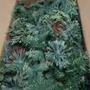 AMERZEST 9Ft Pre-lit Christmas Garland 50 Lights, Plug in, Holiday Decoration Fireplace Stairs Mantle Door Indoor Outdoor, Pine Cone, PE Green