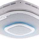 First Alert Onelink Safe & Sound - Battery Powered Smart Hardwired Smoke + Carbon Monoxide Alarm and Premium Home Speaker with Amazon Alexa