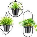 Geometric Wall Planters for Indoor Plants Set of 3 Black Metal Wall Mounted Plant Holder (Diamond & Oval & Round Shapes) with 5 Inch Flower Pots, Modern Hanging Planters for Indoor Decor