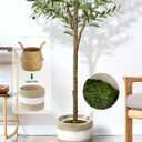 6FT Artificial Olive Tree - Indoor Tall Faux Olive Trees with Planter&Basket, Large Fake Olive Silk Tree Realistic Olive Plants with Branches and Fruits for Home Decor Office Living Room