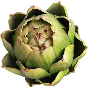 Artificial Artichoke Vegetables Wedding Party Home Decor Set of 6 (Large, Green)