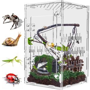 Acrylic Jumping Spider Enclosure, 10"*6"*6" Large Ventilated Reptile Terrarium with Front Opening Door for Tarantula, Insects, Frogs, Praying Mantis, Snails