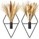 Peryiter 2 Pcs Small Boho Wall Decor Hanging Planters with Artificial Pampas Metal Wall Art Modern Home Decor Display Art for Bedroom Bathroom Living Room(Black)