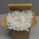 Janinka 6.5 Feet Wisteria Flower Garlands Faux Vine Flower Backdrop for Wall Arch Garden Home Wedding Decoration(Milky White,12 Packs)