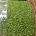 Dual-Mode Golf Hitting Practice Mat 1.2in Indoor Outdoor Putting Mats Turf, 6' x 4'10"