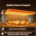 Chick Brooder Heater Plate 12" x 8" Adjustable Height & Temperature Poultry Warmer for Up to 10 Chicks, Brooder Heating Plate for Chicks and Ducklings, Orange