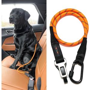 Dog Seat Belt for Car | Universal Dog Car Seatbelt | Durable Reflective Rope with Clip Hook Latch, Buckle and Carabiner- Safe and Secure Pet Safety Restraint (Orange)
