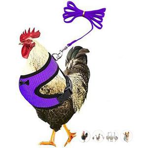 Chicken Harness and leashset,Duck Harness Adjustment Mesh, Purple S