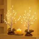 Lighted Birch Tree Christmas Decorations, 2Pack 2FT USB Rechargeable Tabletop Tree with LED Lights, Pre-Lit Artificial Mini Money Trees for Home Centerpiece Fireplace Party Decor(Timer) (Rechargeable 24in x 2pcs)