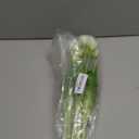 DUYONE 15pcs Artificial Tulips Flowers,Latex Bouquet, Fake Tulips for Office Wedding Party Home Kitchen Garden Decoration(White,15pcs)