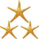 3 Pack Blow up Starfish Floaties