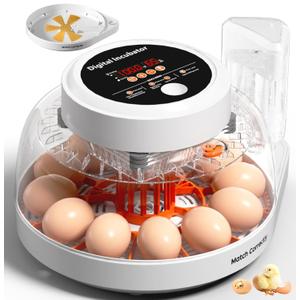 Upgraded Egg Incubators for Hatching Eggs, 12 Egg Incubator with Automatic Egg Turning, Temperature Control & Humidity Display, LED Candler, Incubator for Chicken, Duck, Quail Eggs (Orange)
