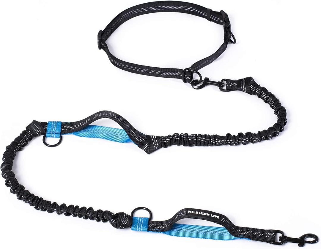 Mile High Life Hands Free Waist Leash for Dog Running Training and Jogging, Adjustable Belt with Double Handle, Reflective Bungee for Medium Large Dogs (Blue, 7FT)