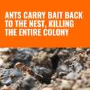 TERRO Liquid Ant Baits - T1813B - Outdoor Ready-to-Use Terro Ant Traps, Kills Household Ants, 12 Stakes