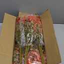 24 Bundles Faux Mums for Outdoor Planters, Artificial Fake Mums Fall Decorations for Outdoors Home, Fall Autumn Faux Silk Flowers Plants Look Real UV Resistant for Outside Home Porch Patio (Orange)