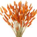CISDUEO 120pcs Dried Bunny Tails Flowers Orange Lagurus Ovatus Tail Dried Flowers Pampas Grass Natural Dried Floral Arrangement for Boho Fall Decor Autumn Wedding DIY Farmhouse Christmas Halloween