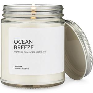 1OAK Soy Wax Ocean Candle (Ocean Breeze) - Beach Candle - Ocean Themed Candles - Summer Candles for Home - Home Scented - Hand-Poured (7oz.) (Clear Jar (7oz))