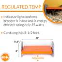 K&H Pet Products Chicken Brooder Heater for Chicks Ducklings, Adjustable Heating Plate for Brooder Boxes, Warms up to 30 Chicks, Chicken Coop Poultry Heating with Safety Light, Large 40 Watts