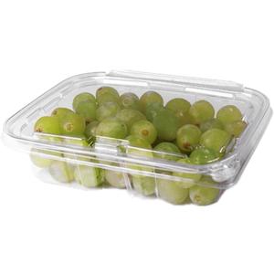 20 oz RPET Clear Hinged Lid Tamper Evident Container  200 Pcs