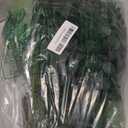 Giegxin 90 Pcs 3 Kinds Mixed Eucalyptus Leaves Stems Bulk Artificial Silver Dollar Leaves Picks Dried Eucalyptus Bundle Faux Spray for Wedding Vase Bouquet Floral Arrangement (Green)