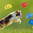 18 Pieces Cat Fetch Toy with Colorful Flying Propellers Set, Cat Playing Tracking Interactive Toys for Kitten Indoor and Outdoor Chasing Training Hunting