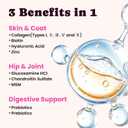 Premium Collagen for Dogs & Cats  5 Types of Grass-Fed Collagen (I, II, III, V & X), Fast Allergy & Itch Relief Dog Colgeno with MSM, Biotin & Hyaluronic Acid  Supports Healthy Skin & Joints 120ml