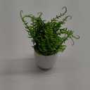 WHW Whole House Worlds Realistic Faux Baby Thyme, Potted Plant, Houseplant, Kitchen, Lushly Leafed, White Pot, Plant Diameter is 6 Inches, Height is 9 3/4 Tall, Greenery