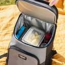 Igloo Maxcold Ice Block
