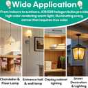 6 x 6-Pack 043168787963 & 78796 Replacement Halogen Light Bulbs, 43W A19 E26 Base, 120V, 60W Equivalent Clear Bulbs for Table Lamps, Ceiling Fixtures & Enclosed Lighting