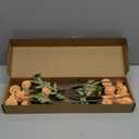 Floroom 5pcs Faux Silk Pompon Mum Artificial Flowers, Bulk Fake Mini Chrysanthemums with Stems for DIY Bouquet Centerpieces Wedding Fillers Arrangements Shower Decorations, Apricot Peach
