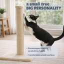Trixie Parla Cat Scratching Post 24.4 Inch - Cat Scratcher with Soft Fabric Covering Base and Durable Natural Jute Rope - Beige
