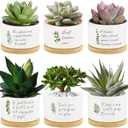 Tarklanda 6Pcs Teacher Appreciation Gifts Succulent Pots Mini Ceramic Plant Pots with Bamboo Tray Green Plants Pots Planters for Best Teacher Thank You for Helping Me Grow Plants Not Included