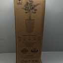 Mueller M-Resin Heavy Duty Tall Planters for Outdoor Plants, Indoor Grande Plant Pots, Boxes, Trees, Flower Pots, 2-Piece Set, 27.5, Modern Design, Built-in Drainage, Front Porch Decor, Dark Grey