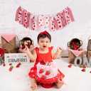 Strawberry Daisy 1st Birthday High Chair Banner - Pink Red Berry Theme Highchair Banner, Gingham Sweet Berry First Birthday Party Decoration, Best Sweet One Cake Smash Photo Props, Strawberry Picnic Party Supplies