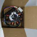 8 Pole Copper Magneto Stator Coil GY6 50cc 139QMB Scooter Moped ATV Go Karts TaoTao Sunl Roketa (4-wire, 2-pin, DC)