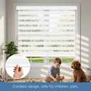 Artpuch Cordless Zebra Blinds for Windows,34" W X 64" H White Window Shades