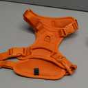 Sunraymascota No Pull Dog Harness, Puppy Vest with Front Clip for Small Medium Large Sized Dog(Orange,S) (S(Neck:15.7-22.0", Chest:17.3-24.8"))